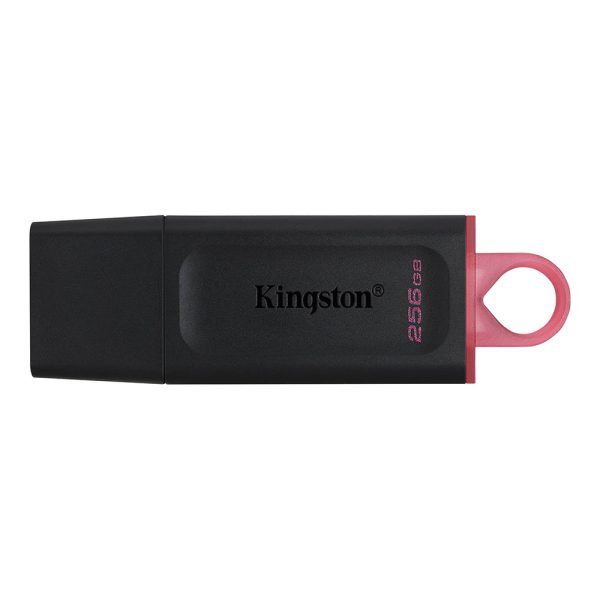 Kingston DataTraveler Exodia 256GB USB 3.2 Gen 1 Flash Drive YY-DTX/256GB