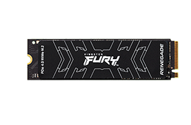 Kingston Fury 1TB nVME YY-SFYRS/1000G