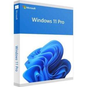 Microsoft FQC-10528 Windows 11 Pro 64 Bit, 1 Pack, DSP OEM DVD LSW-FQC-10528