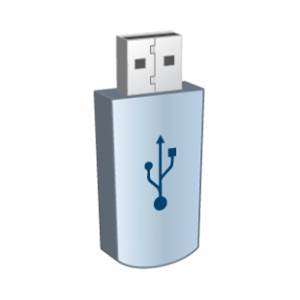256GB USB Flash Drive LSW-RUN256GB
