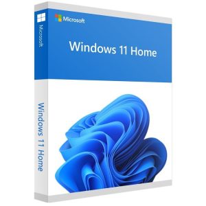 Microsoft Windows 11 Home USB YY-HAJ-00090