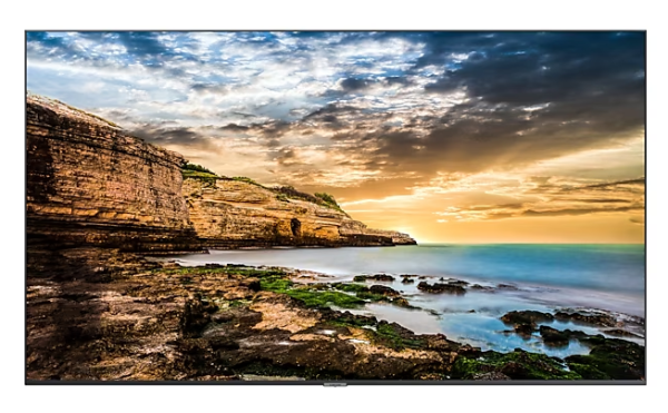 Samsung 55" QET Pro 4K LED YY-LH55QETELGCXXY